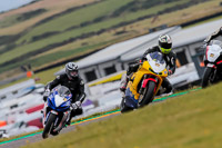 PJ-Motorsport-2019;anglesey-no-limits-trackday;anglesey-photographs;anglesey-trackday-photographs;enduro-digital-images;event-digital-images;eventdigitalimages;no-limits-trackdays;peter-wileman-photography;racing-digital-images;trac-mon;trackday-digital-images;trackday-photos;ty-croes